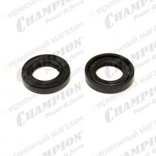 Сальник для Stihl MS180-250, 280 ( компл. 2 шт) 25*15*5 - 1300005 Сальник для Stihl MS180-250, 280 ( компл. 2 шт) 25*15*5 - 1300005