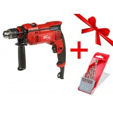 Дрель ударная WORTEX DS 1307 в кор.+ АКЦИЯ!
(Набор сверл по мет. 6шт. (2-3-4-5-6-8 мм) HSS WORTEX в подарок!)