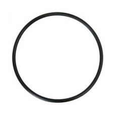 Кольцо уплотнительное для корпуса Тайфун BB ГЕЙЗЕР (1) Кольцо уплотнительное для корпуса Тайфун BB ГЕЙЗЕР (1)