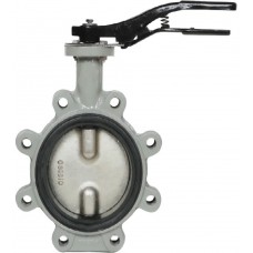 Затвор дисковый Giacomini поворотный с проушинами DN100, R59FLX010 Затвор дисковый Giacomini поворотный с проушинами DN100, R59FLX010