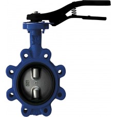 Затвор дисковый Giacomini поворотный с проушинами DN50, R59FLY005 Затвор дисковый Giacomini поворотный с проушинами DN50, R59FLY005