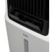 Охладитель воздуха Ballu Cyclone BCOOL-30L CL Охладитель воздуха Ballu Cyclone BCOOL-30L CL